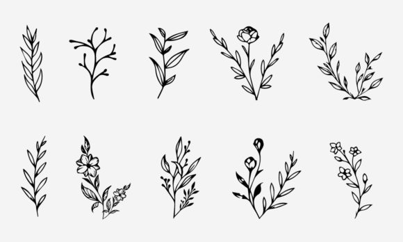 Download Flower Line Drawing Vector Illustration - Line Collection